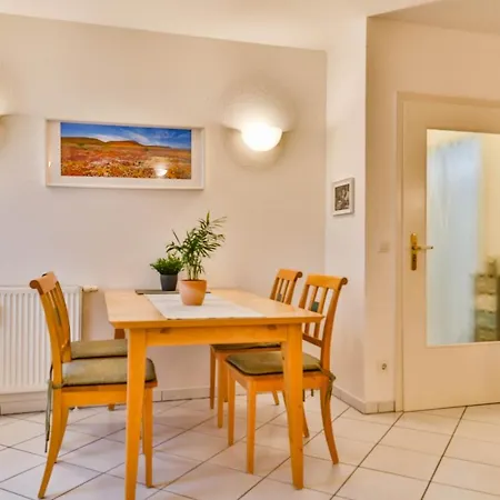 Ostseerose Ein Strandkorb Ist Im Sommer Inclusive