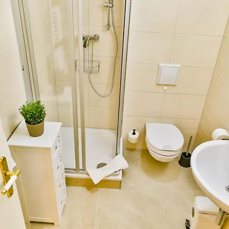 Ostseerose Ein Strandkorb Ist Im Sommer Inclusive *