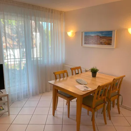 Ostseerose Ein Strandkorb Ist Im Sommer Inclusive Zempin