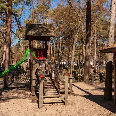 Ostseerose Ein Strandkorb Ist Im Sommer Inclusive *