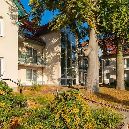 Ostseerose Ein Strandkorb Ist Im Sommer Inclusive *