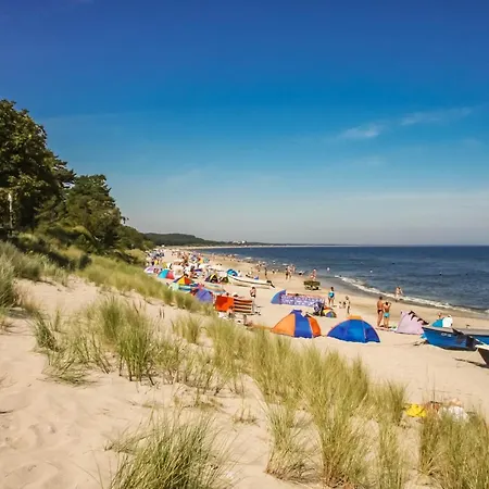 Ostseerose Ein Strandkorb Ist Im Sommer Inclusive