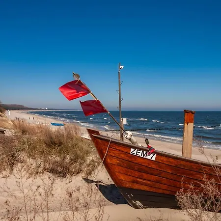 Ostseerose Ein Strandkorb Ist Im Sommer Inclusive *