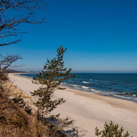 Ostseerose Ein Strandkorb Ist Im Sommer Inclusive Lejlighed