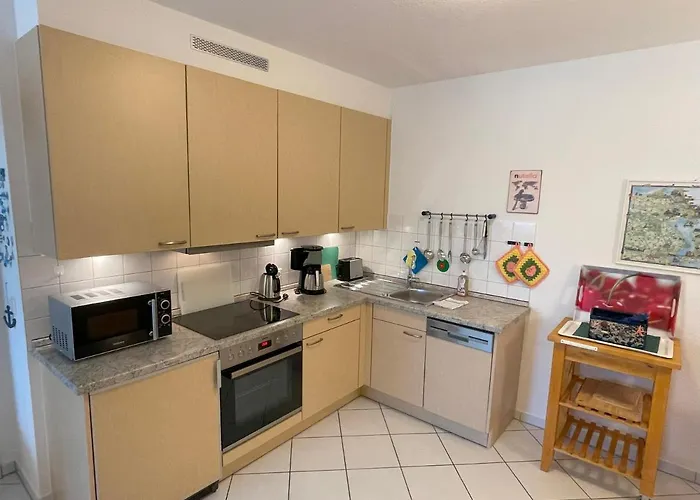 Ostseerose Ein Strandkorb Ist Im Sommer Inclusive