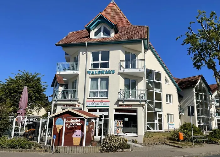 Ostseerose Ein Strandkorb Ist Im Sommer Inclusive 公寓 *