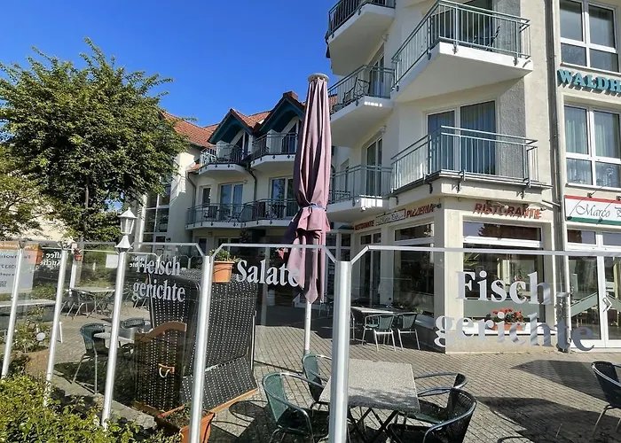 Ostseerose Ein Strandkorb Ist Im Sommer Inclusive